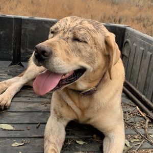 Meet your Posher, Jack